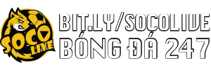 lịch thi đấu bóng đá y